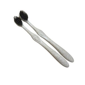 Bàn chải nhựa lúa mạch 79 thân thiện